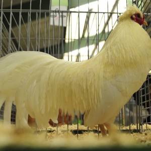 Test Story 3 Mark + Steve update 4